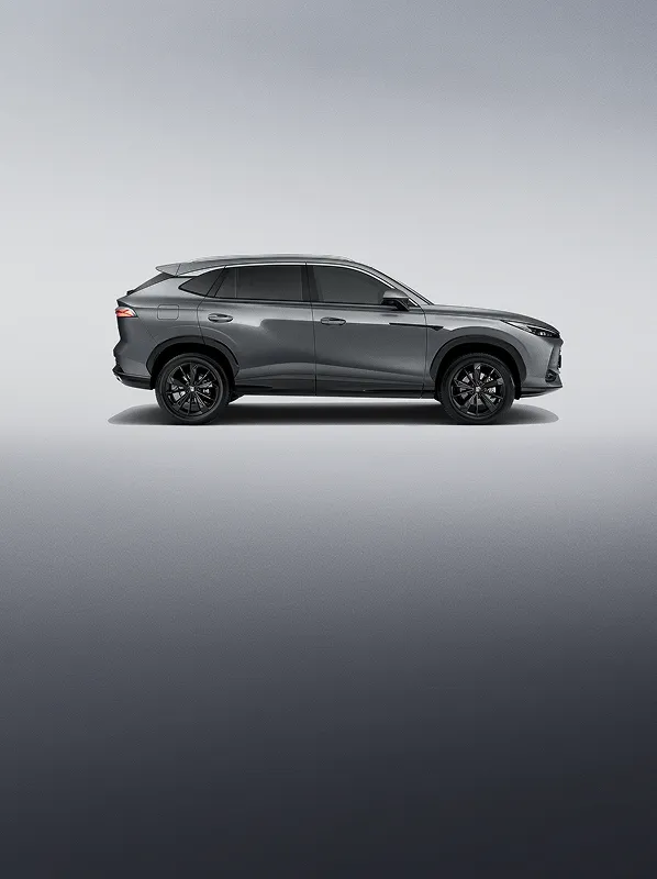 В центре внимания