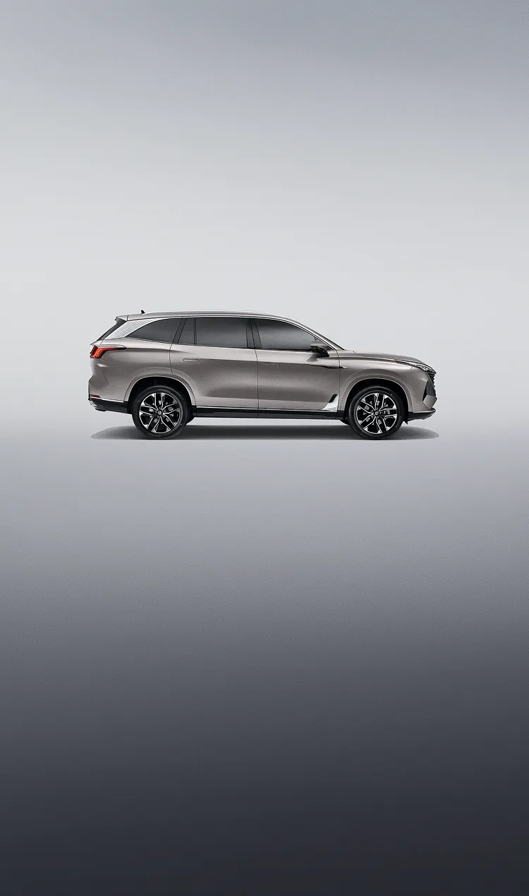 Внушительный облик