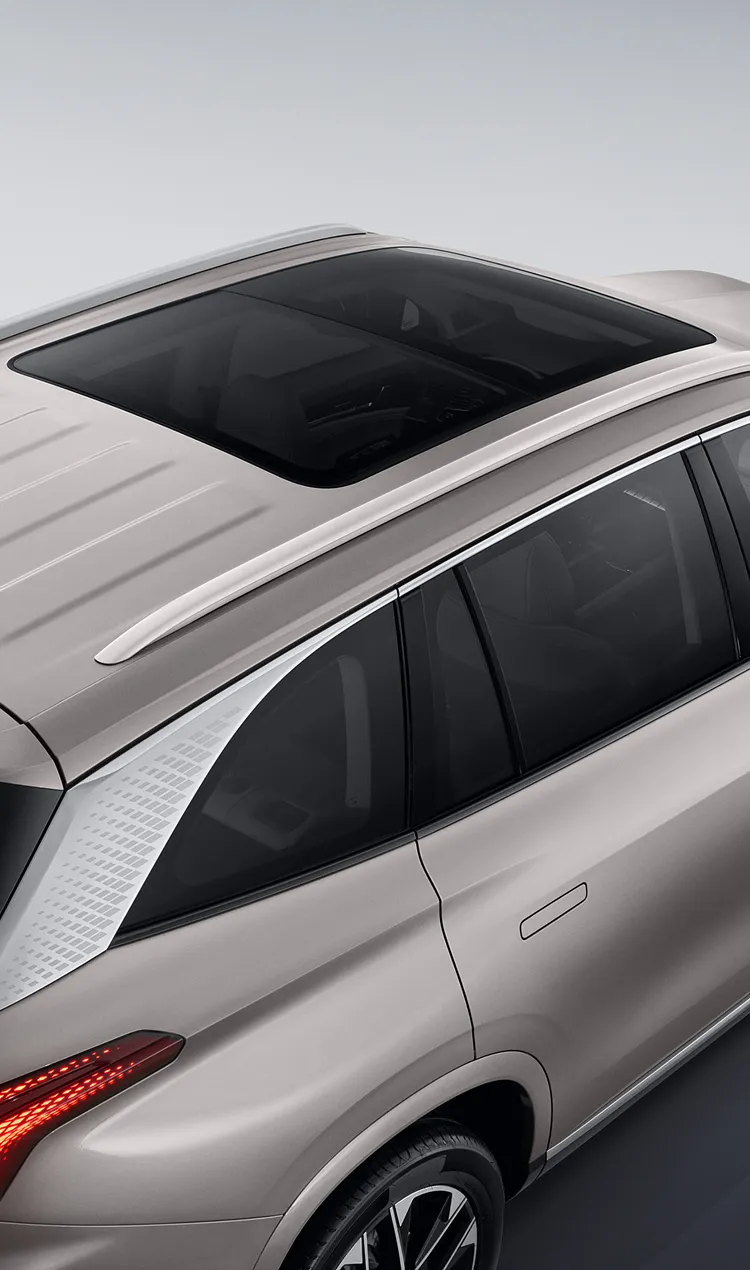 Панорамная крыша